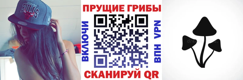 Галлюциногенные грибы Cubensis mega как войти Фокино